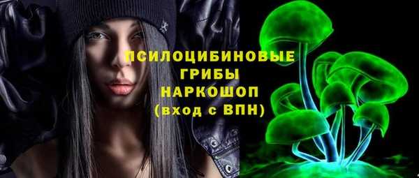 бошки Абаза