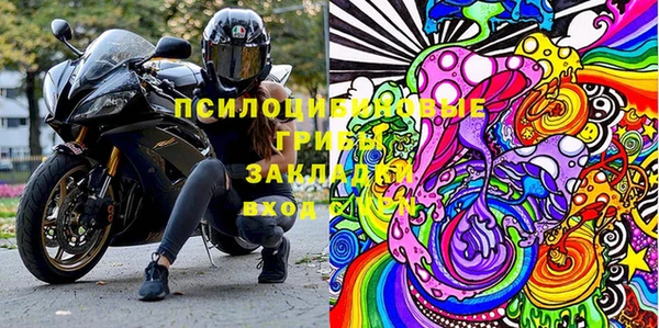 бошки Абаза