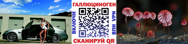 Галлюциногенные грибы Cubensis  Сальск 