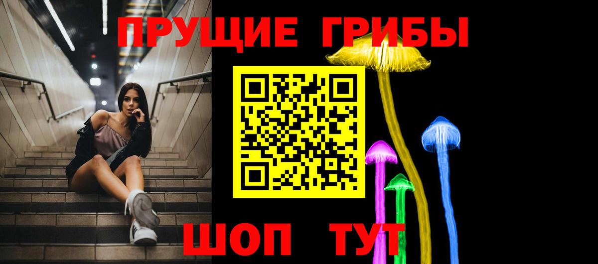 Псилоцибиновые грибы Psilocybine cubensis Сальск