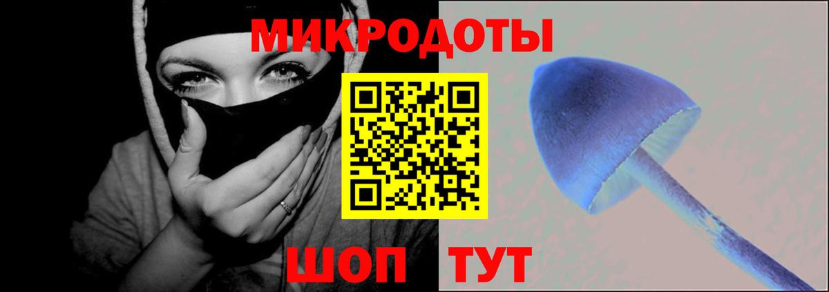 Псилоцибиновые грибы мицелий  Вход с VPN  Сальск 