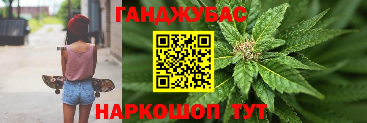 МАРИХУАНА план  МАРИХУАНА White Widow  Бошки марихуана Ganja  Сальск  Вход с VPN  Конопля сатива 